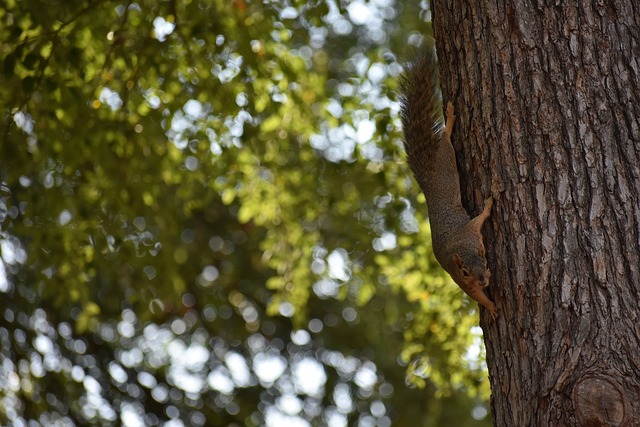 这种情况并 这种情况并