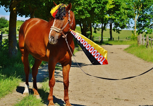 文化交流的 文化交流的