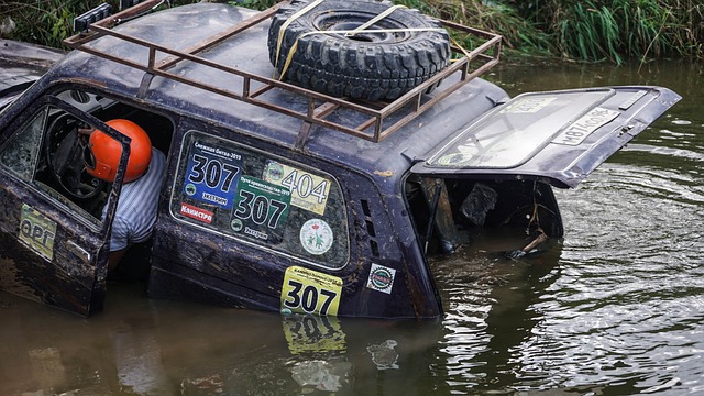豪门的表象 豪门的表象