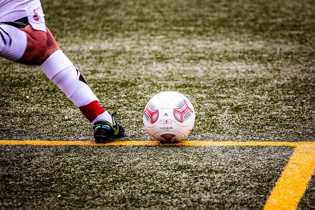 湖人对于排 湖人对于排